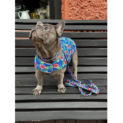 Курточка-накидка для собак WAUDOG Clothes, малюнок «Інжир» - фото 6