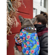 Курточка-накидка для собак WAUDOG Clothes, малюнок «Інжир» - фото 9