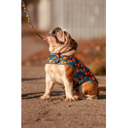 Курточка-накидка для собак WAUDOG Clothes, малюнок «Апельсини» - фото 9