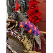 Курточка-накидка для собак WAUDOG Clothes, малюнок «Куби 3Д» - фото 5