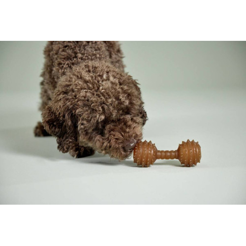 Іграшка гантель для чищення зубів Pure Nature з натурального каучуку для собак Wolters