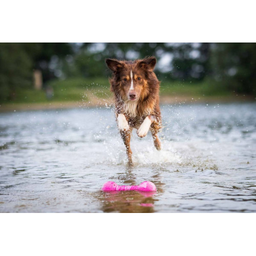 Іграшка гантель Aqua-Fun Gym плаваюча малинова для собак Wolters
