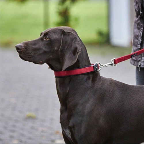 Нашийник для собак Wolters, Professional Comfort, червоний