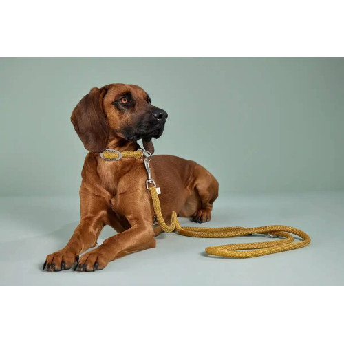 Нашийник-канат для собак Wolters, K2 Rope, жовтий