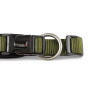 Нашийник для собак Wolters, Professional Comfort, оливковий