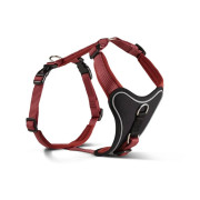 Шлейка пом'якшена для собак Wolters Professional Comfort, бордова - фото 1