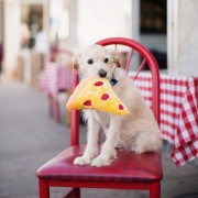 М'яка іграшка NomNomz Pizza з пищалкою для собак ZippyPaws - фото 4