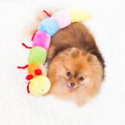 М'яка іграшка гусениця Caterpillar Large with 7 Squeakers з пищалками для собак ZippyPaws - фото 3