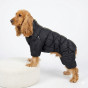 Одяг для кокер-спанієля