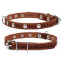 Ошейник для собак "CoLLaR" одинарный кожаный с украшениями коричневого цвета