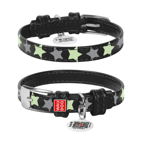 Ошейник для собак кожаный Collar WAUDOG Glamour светонакопительный черного цвета с QR паспортом