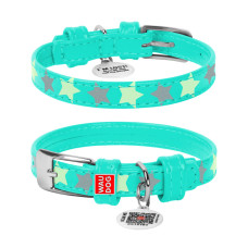 Нашийник для собак шкіряний Collar WAUDOG Glamour світонакоплювальний ментолового кольору з QR паспортом