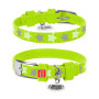 Ошейник для собак кожаный Collar WAUDOG Glamour светонакопительный салатового цвета с QR паспортом