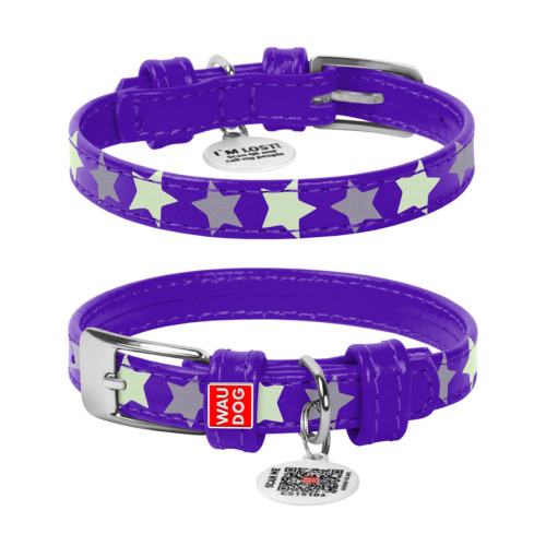 Нашийник для собак шкіряний Collar WAUDOG Glamour світонакоплювальний фіолетового кольору з QR паспортом