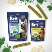 Ласощі Brit Premium Dental Snacks L для cобак великих порід з колагеном і спіруліною 250 г - фото 2