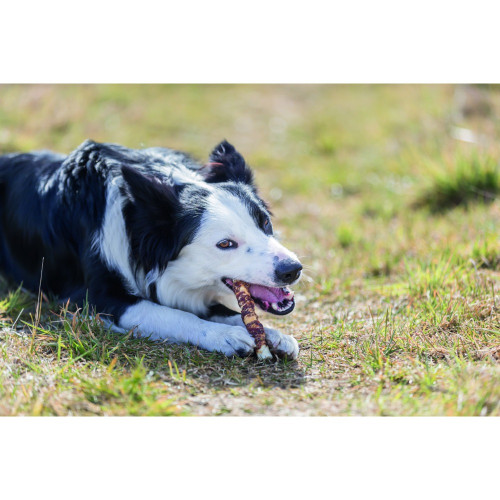 Ласощі Trixie Denta Fun Rolls with Duck для собак Паличка для чищення зубів з качкою 17 см 140 г 3 шт