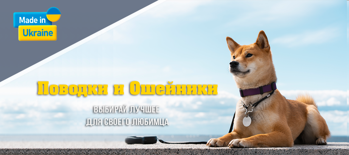 Амуниция