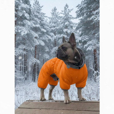 Комбінезон для собак AiryVest ONE помаранчевого кольору