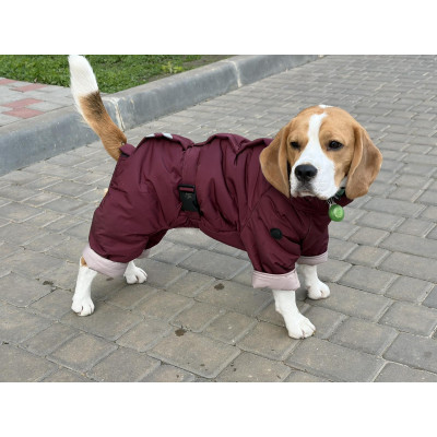 Зимовий комбінезон для собак з поясом марсала R-61