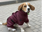 Фото покупця: Анастасія