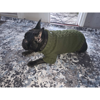 В’язаний светр для собак «Косичка» хакі Y-387