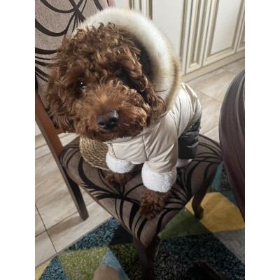 Зимовий комбінезон для собак на хутрі перлинного кольору AM-38