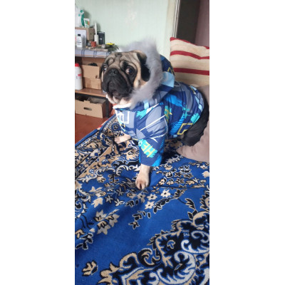 Зимовий комбінезон для собак на хутрі Геометрія AM-36