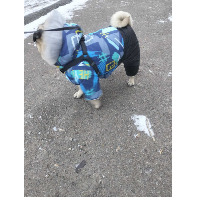 Зимовий комбінезон для собак на хутрі Геометрія AM-36